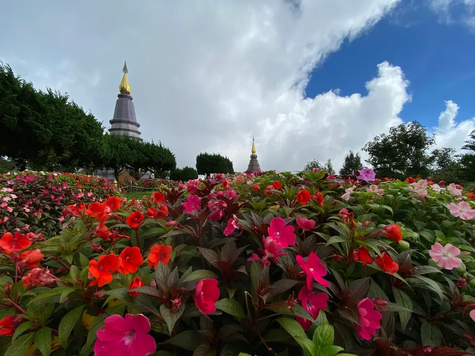 Chiang Mai, Thailand — photograph 1